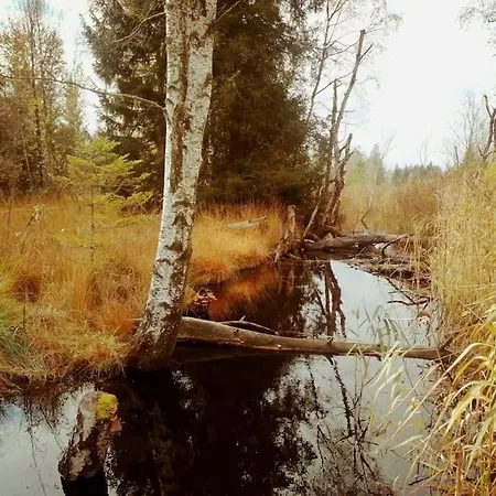 Appartement Tiny House 2 Im Allgaeu Mit Gr. Garten, Randlage Bad Wurzach
