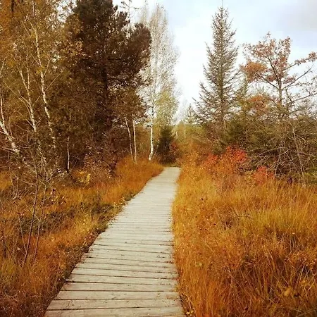 Tiny House 2 Im Allgaeu Mit Gr. Garten, Randlage Appartement *