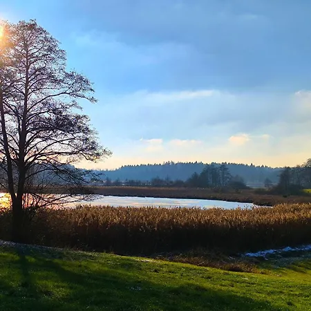Appartement Tiny House 2 Im Allgaeu Mit Gr. Garten, Randlage *