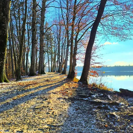 Tiny House 2 Im Allgaeu Mit Gr. Garten, Randlage Appartement *